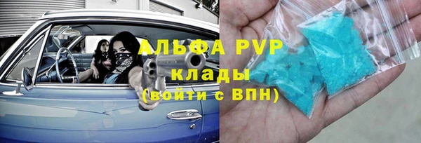 прущие крисы Бородино