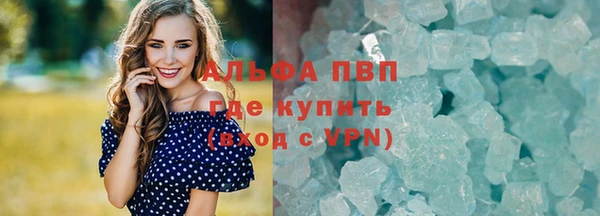 прущие крисы Бородино