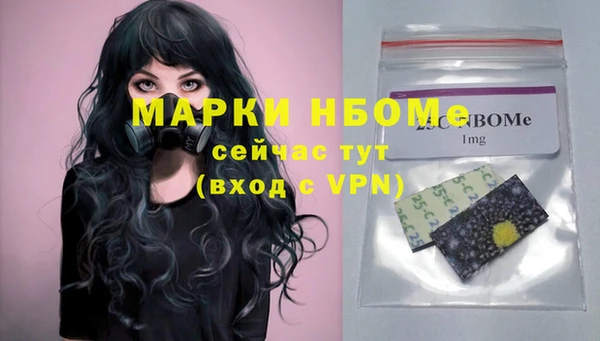 прущие крисы Бородино