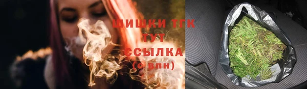 прущие крисы Бородино