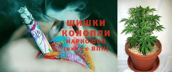 прущие крисы Бородино