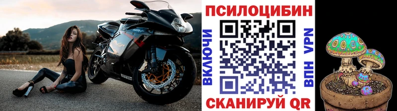 Купить  Балашов  Псилоцибиновые грибы мухоморы 